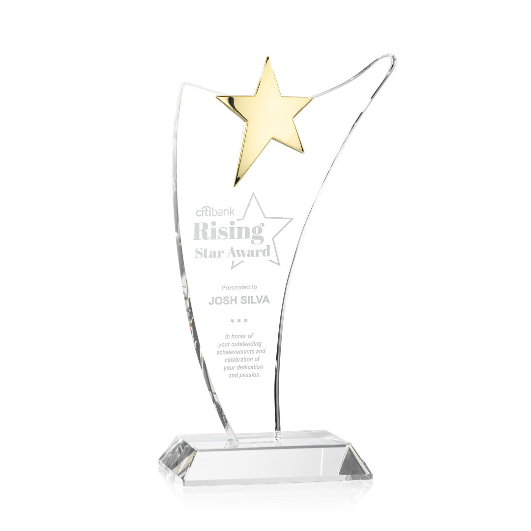 Atkinson Gold Star Award 6