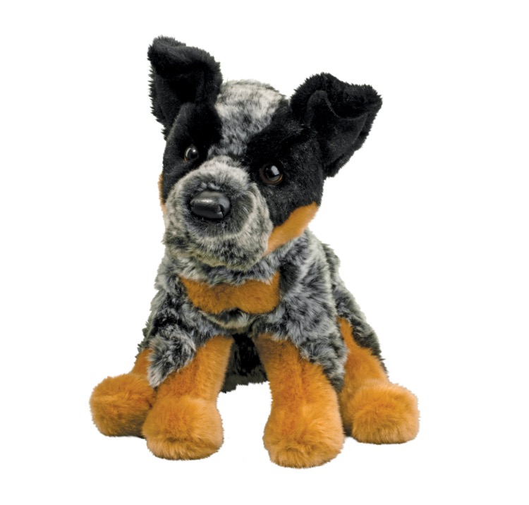 Dexter Floppy Australian Cattle Dog 1