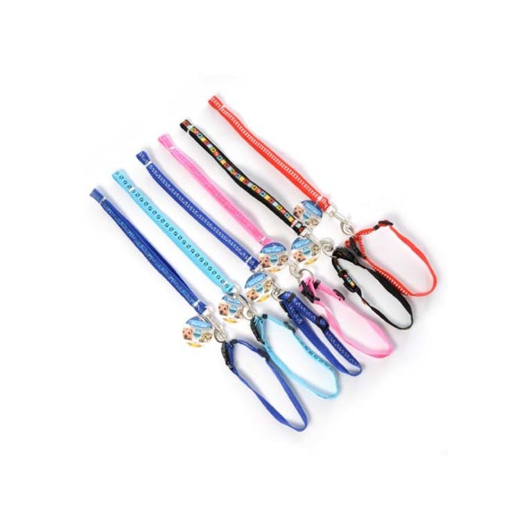 Dog Leashes & Collar Sets - Assorted Adjustable 2