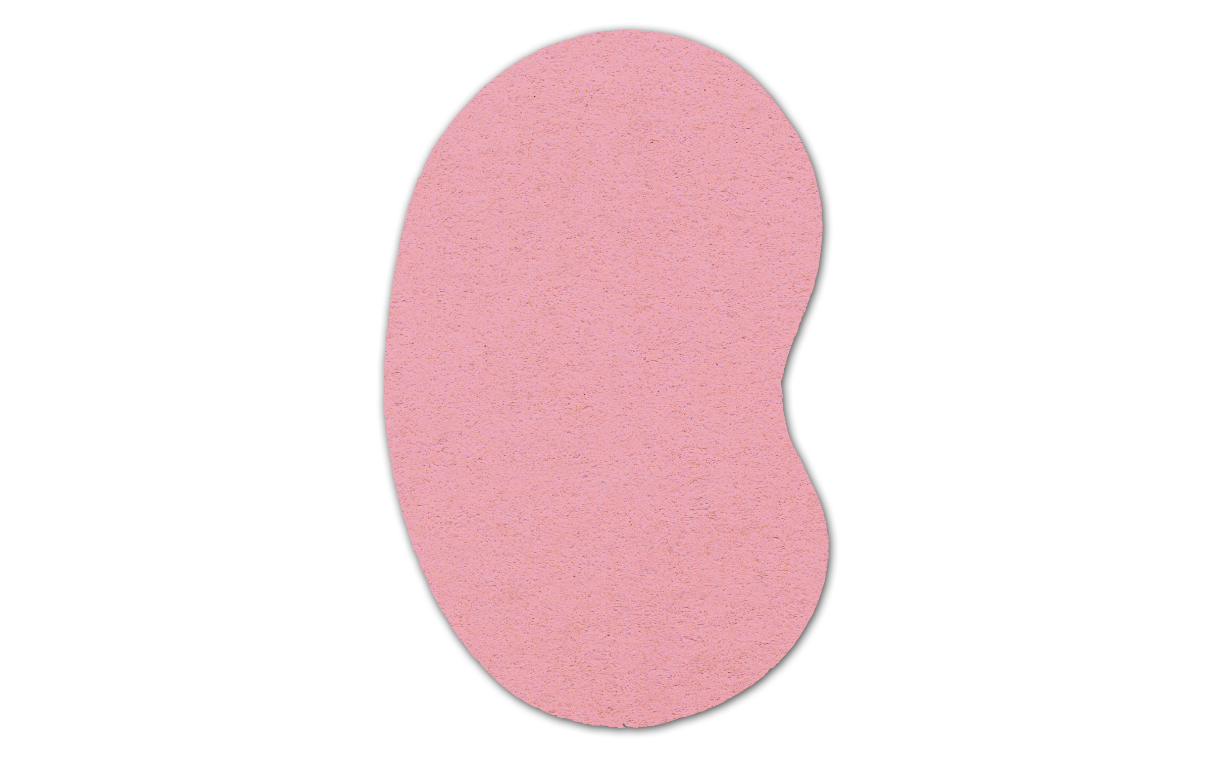 Kidney Compressed Sponge 7