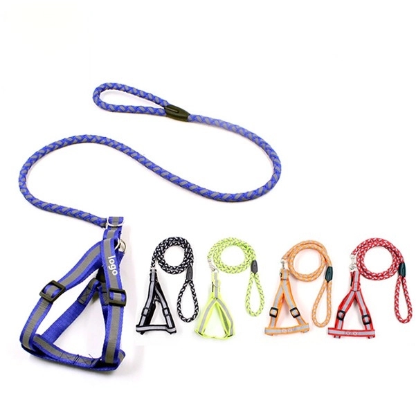 Glowing Pet Rope 3