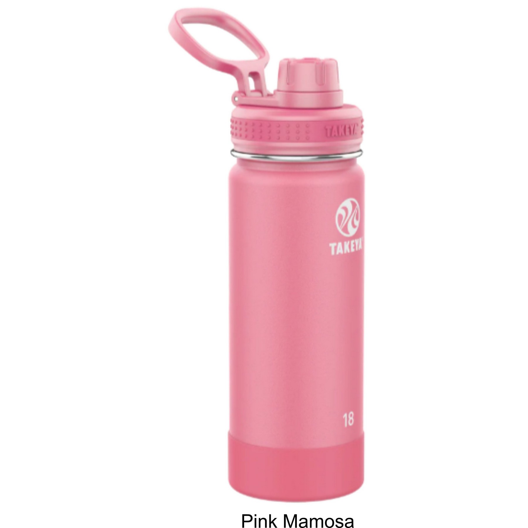 Takeya Active 18 oz Stainless Steel Bottle 13