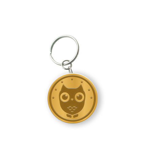Customized Zinc Alloy Keychain with Shiny Brass Plating 4