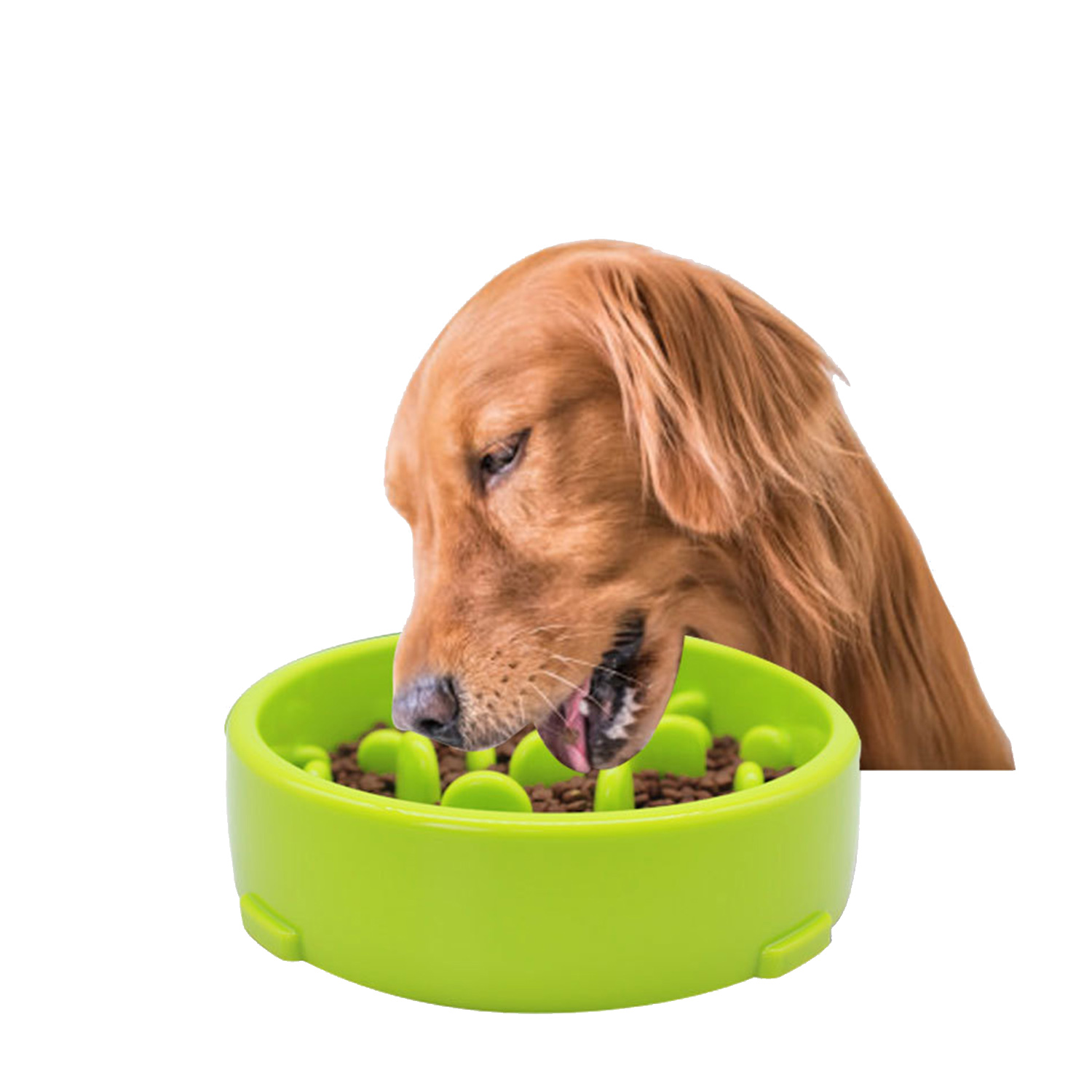 ABS Pet Non-Slip Slow Feeder Interactive Bowl 4