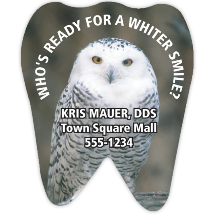 Vinyl Label Full Color (2.5"x2") Tooth Shape