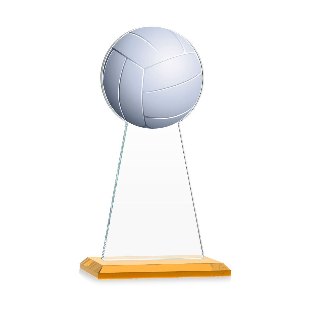 Edenwood Volleyball VividPrint™ Award - Amber 3