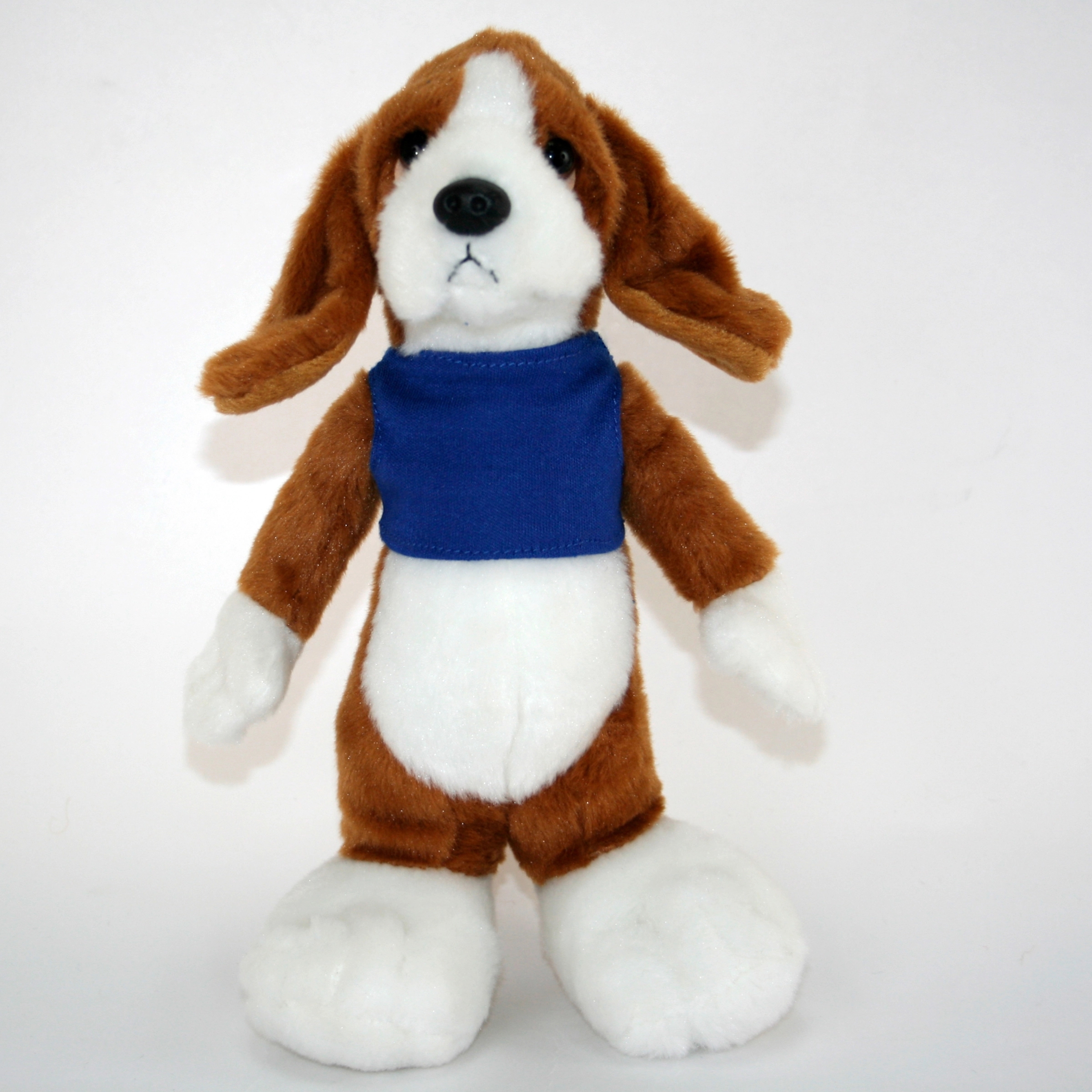 10" Long Body Beagle 5
