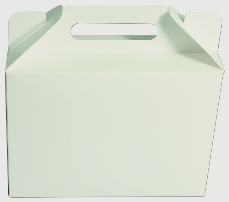8 1/2" x 3" x 6" - Chipboard Box 2
