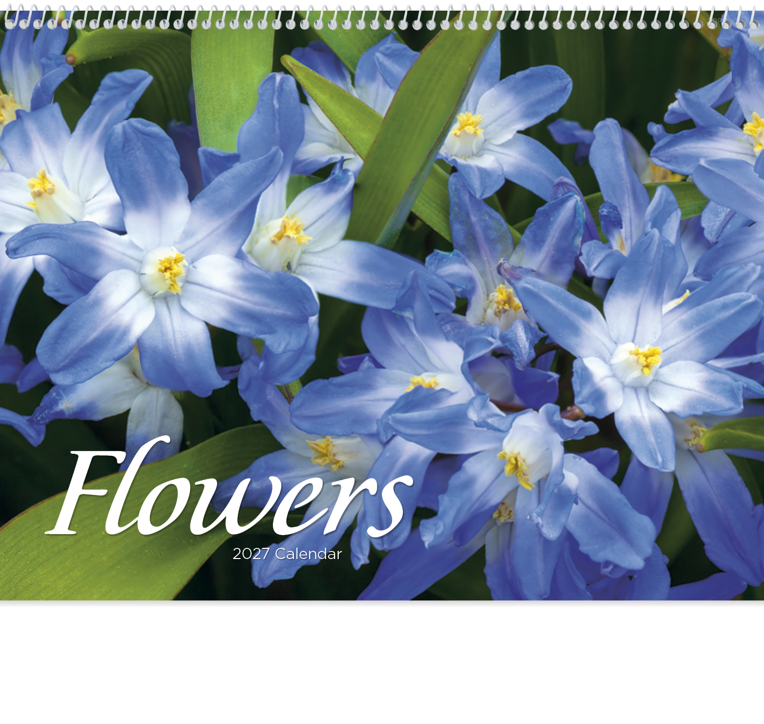 Good Value™ Flowers - Spiral Calendar 50