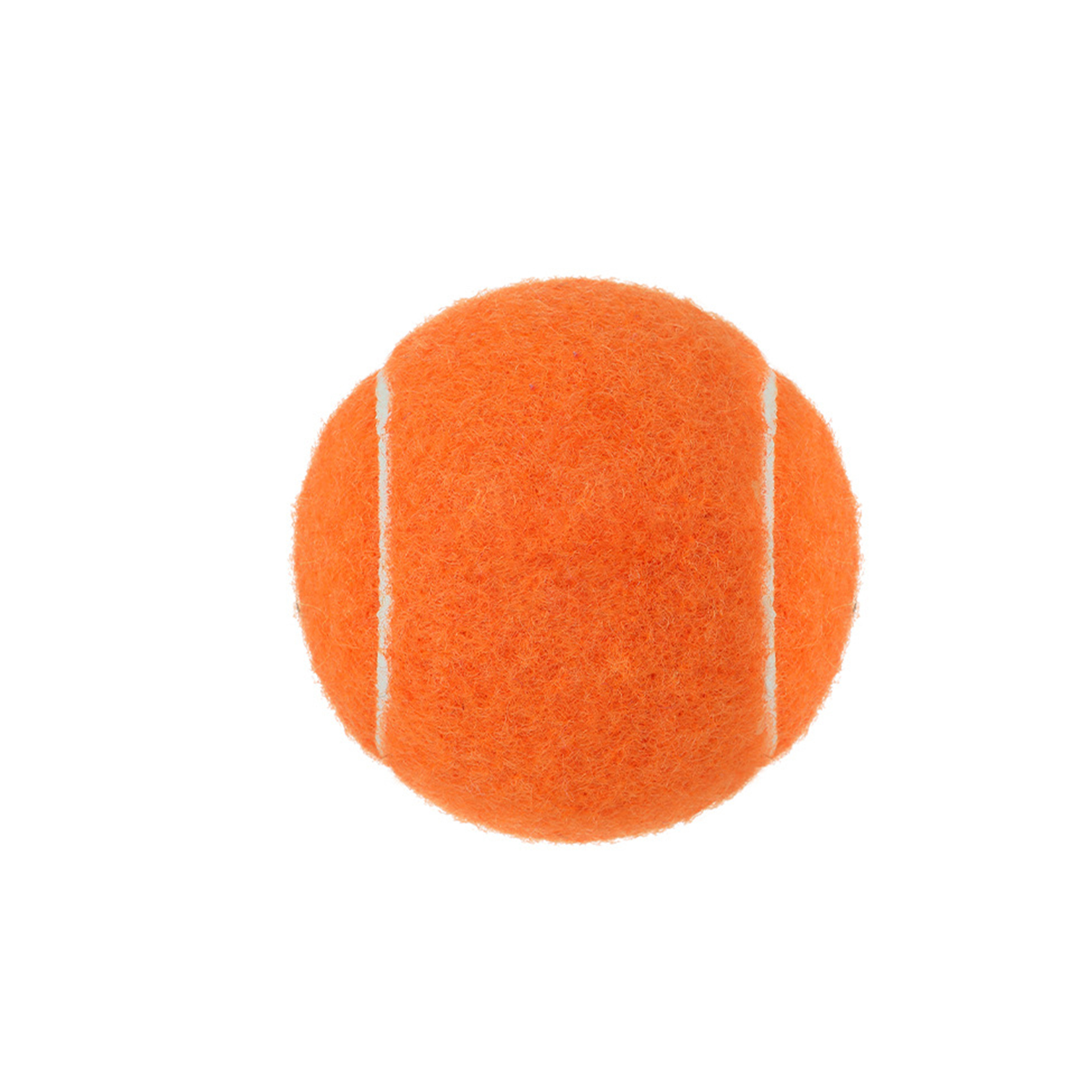 Pet Tennis Ball 2.5" Diameter For Fetch Training 10