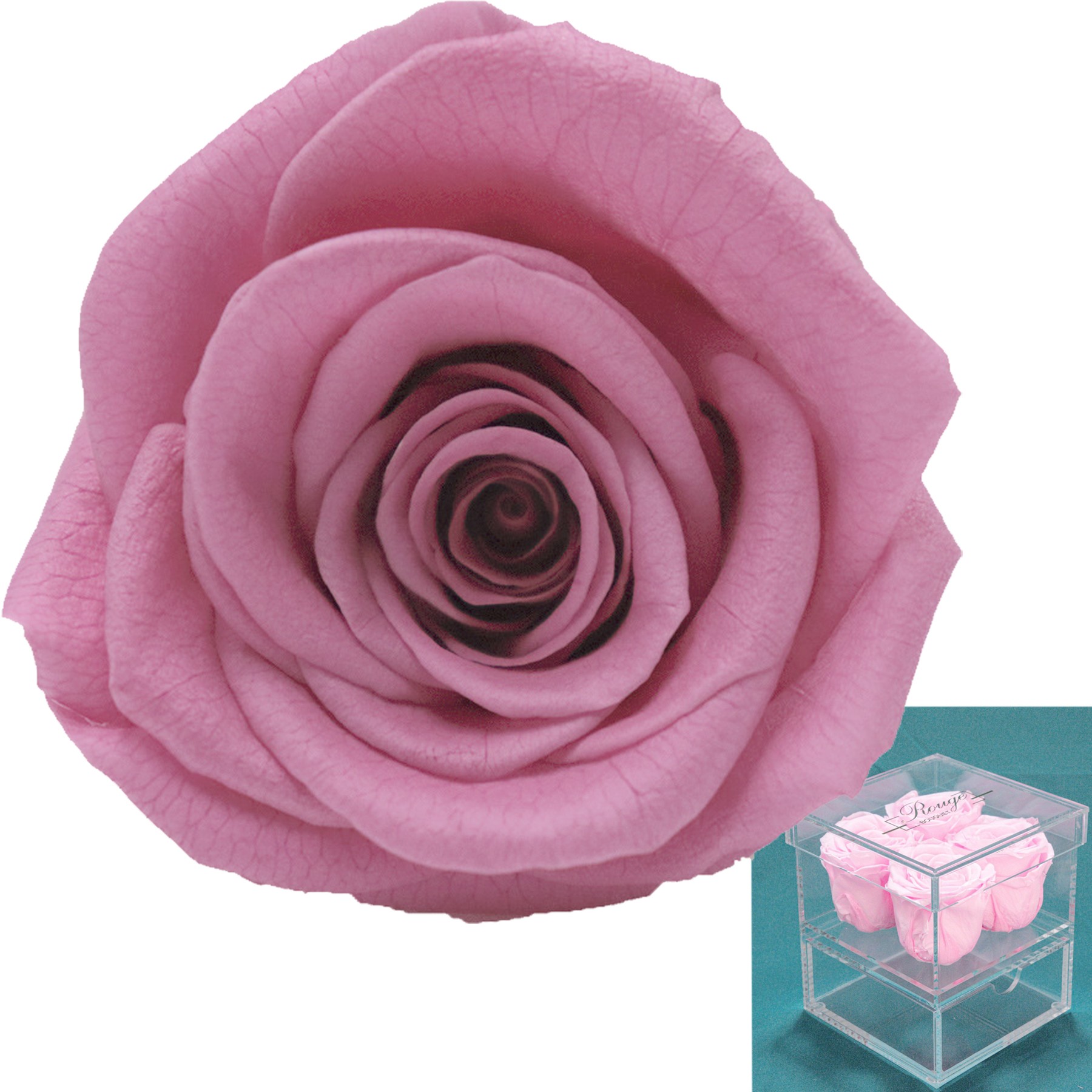 Acrylic Gift Eternal Rose Box 2
