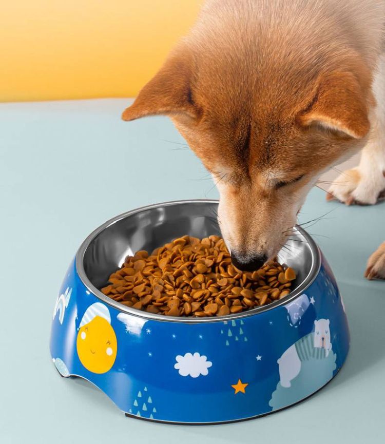Stainless Steel Dog Bowl 1