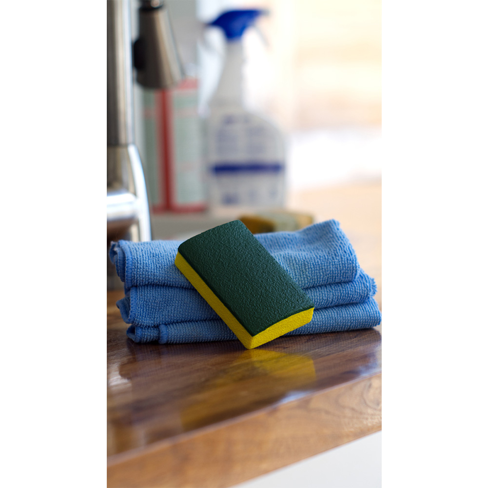 Kitchen Sponge Stress Reliever 9