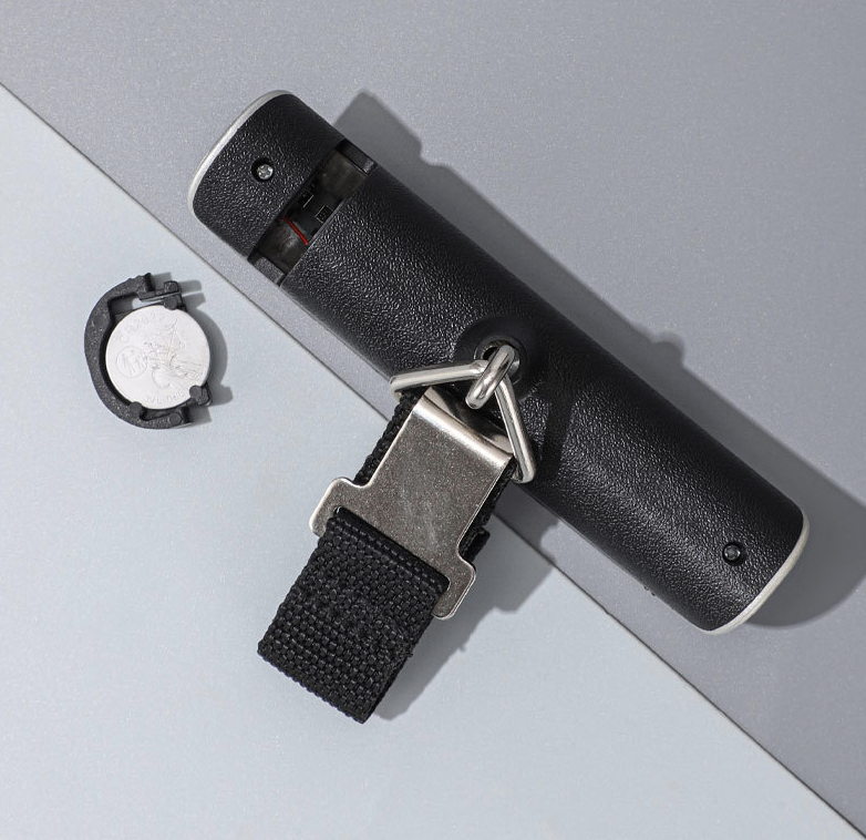 Luggage Scale 4