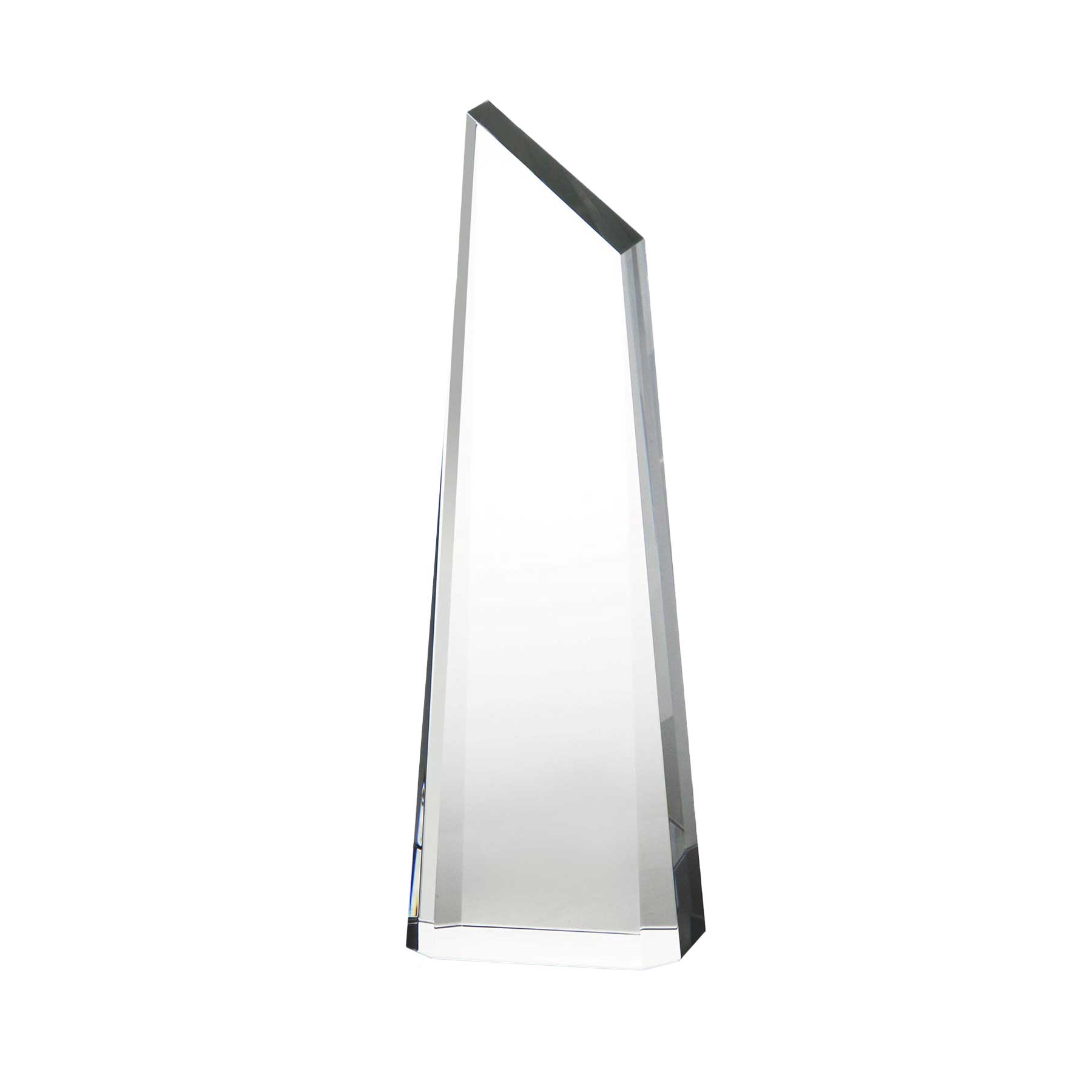 Amanda Cutting Edge Tower Award 4