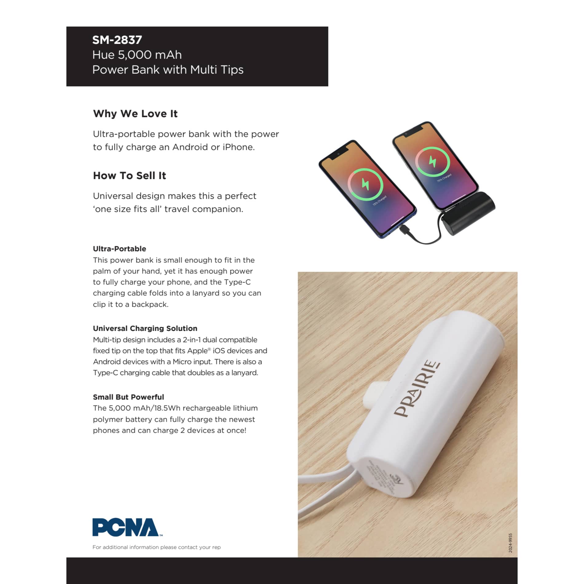 Hue 5000 mAh Power Bank with Multi Tips 63