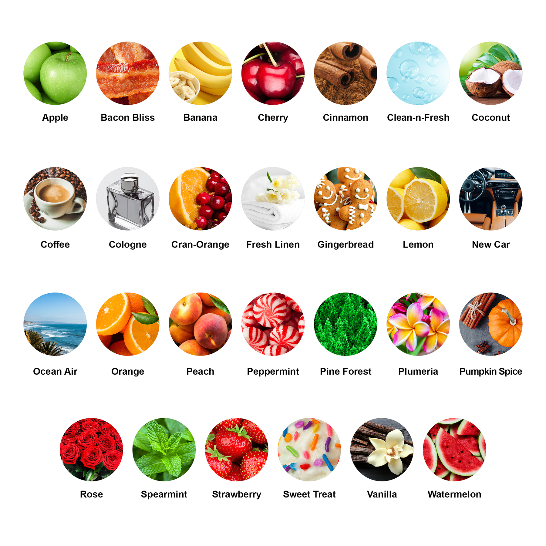 Vertical Rectangle (Round Corners) Shaped Air Fresheners 2