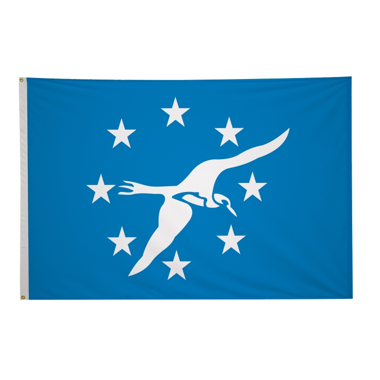 4' x 6' City Flags 22