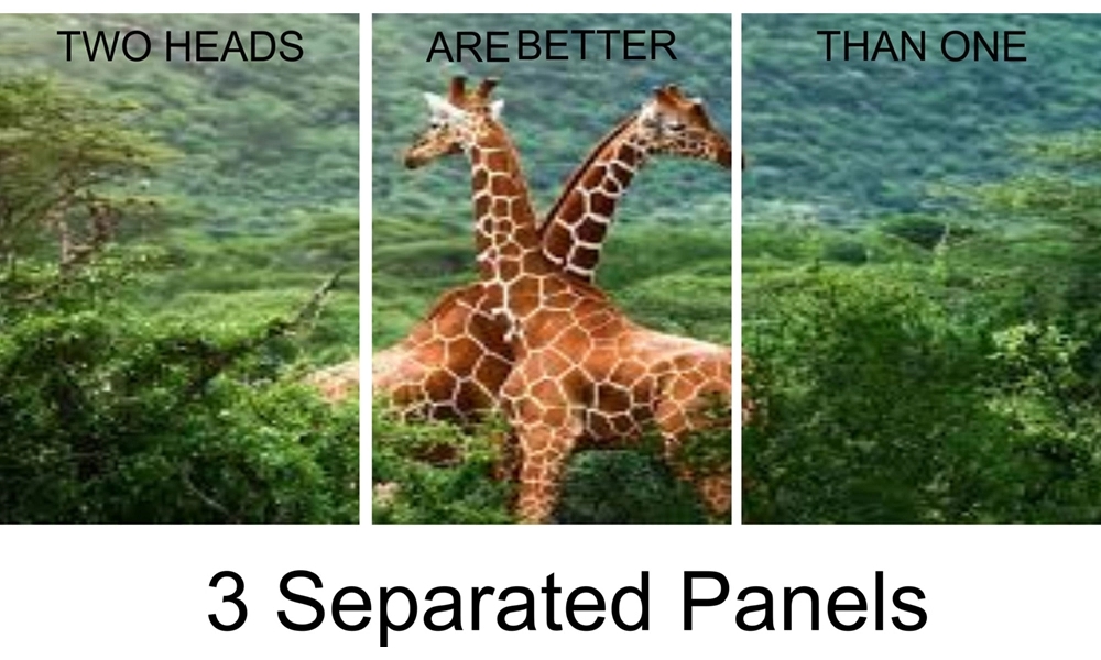 3 Panel Art 2