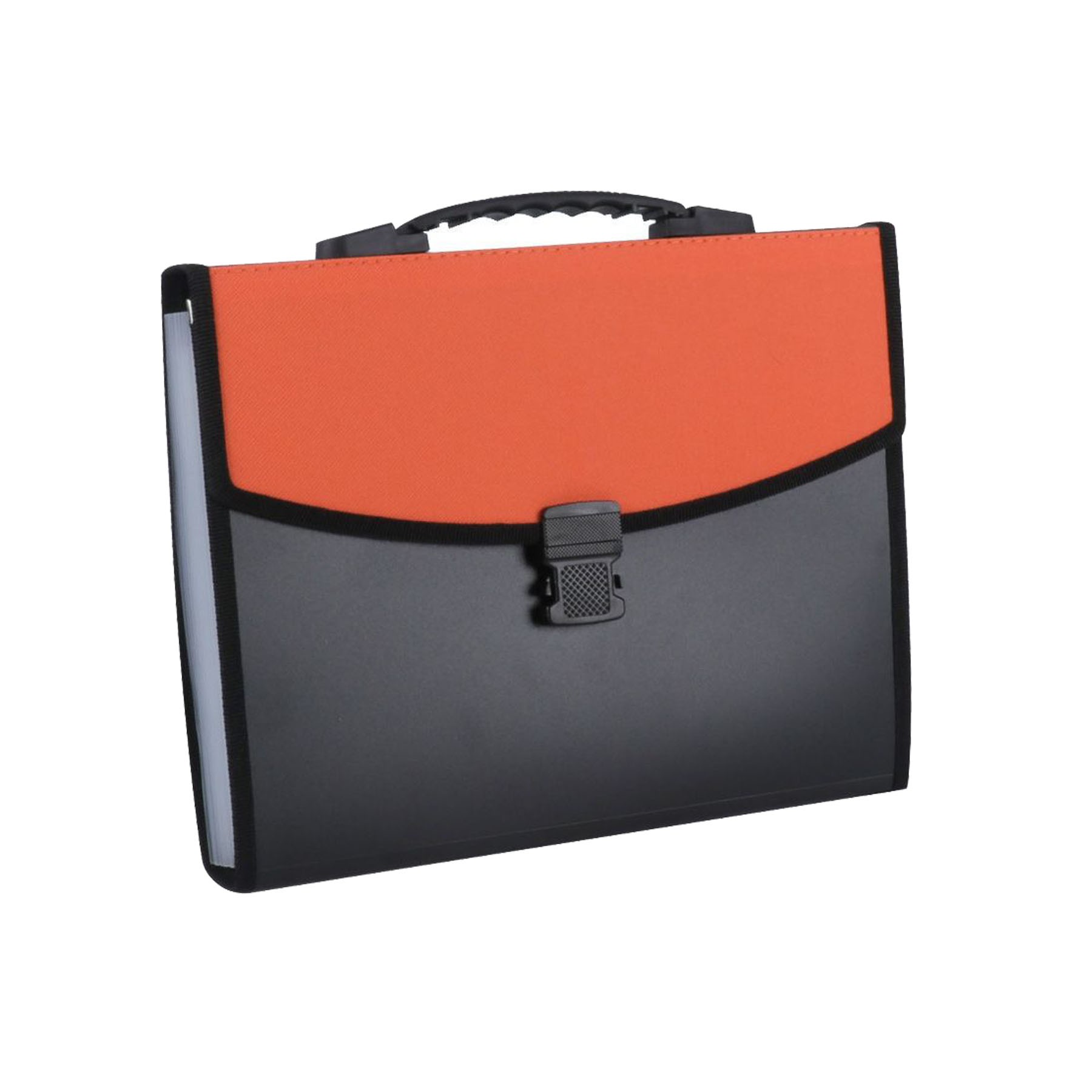 13 Pockets Accordion Folder 5