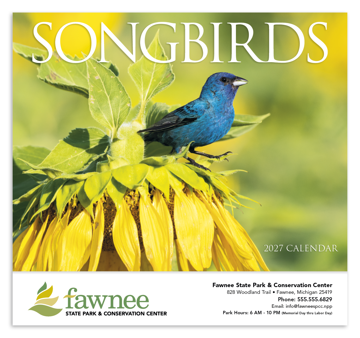 HotLine® Products Songbirds Appointment Calendar - Stapled 63