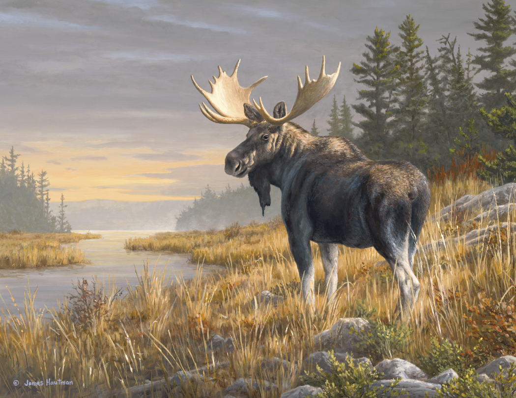 Triumph® Calendars Wildlife Art by the Hautman Brothers Calendar 64