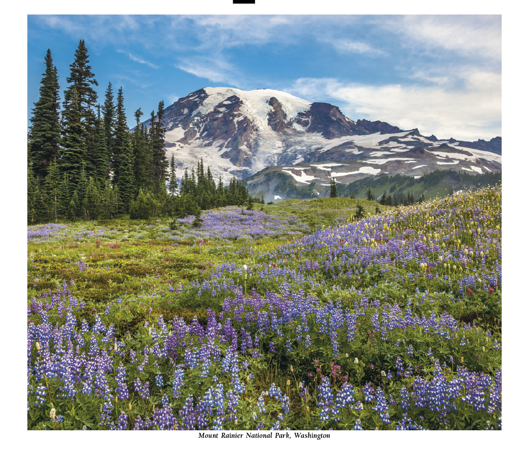 HotLine® Products Scenic America® Pocket Calendar 1