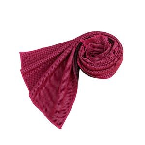 Quick Dry Microfiber Towel 48