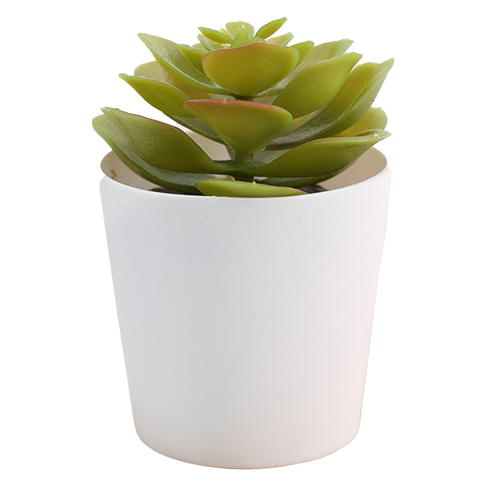 Mini Succulent Potted Plant Set for Home Decor 11