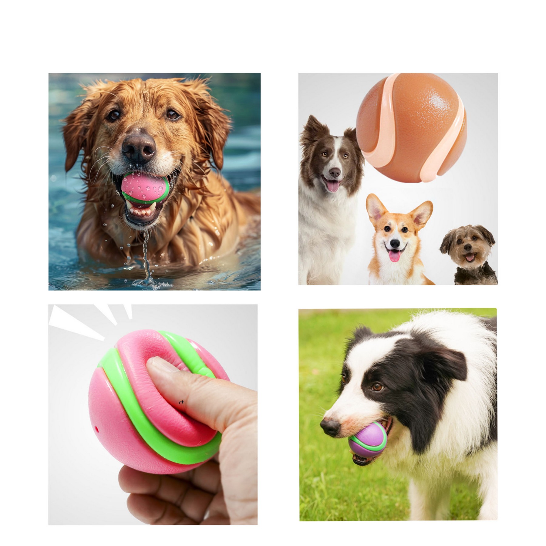 Dog'S Bouncy Ball 2