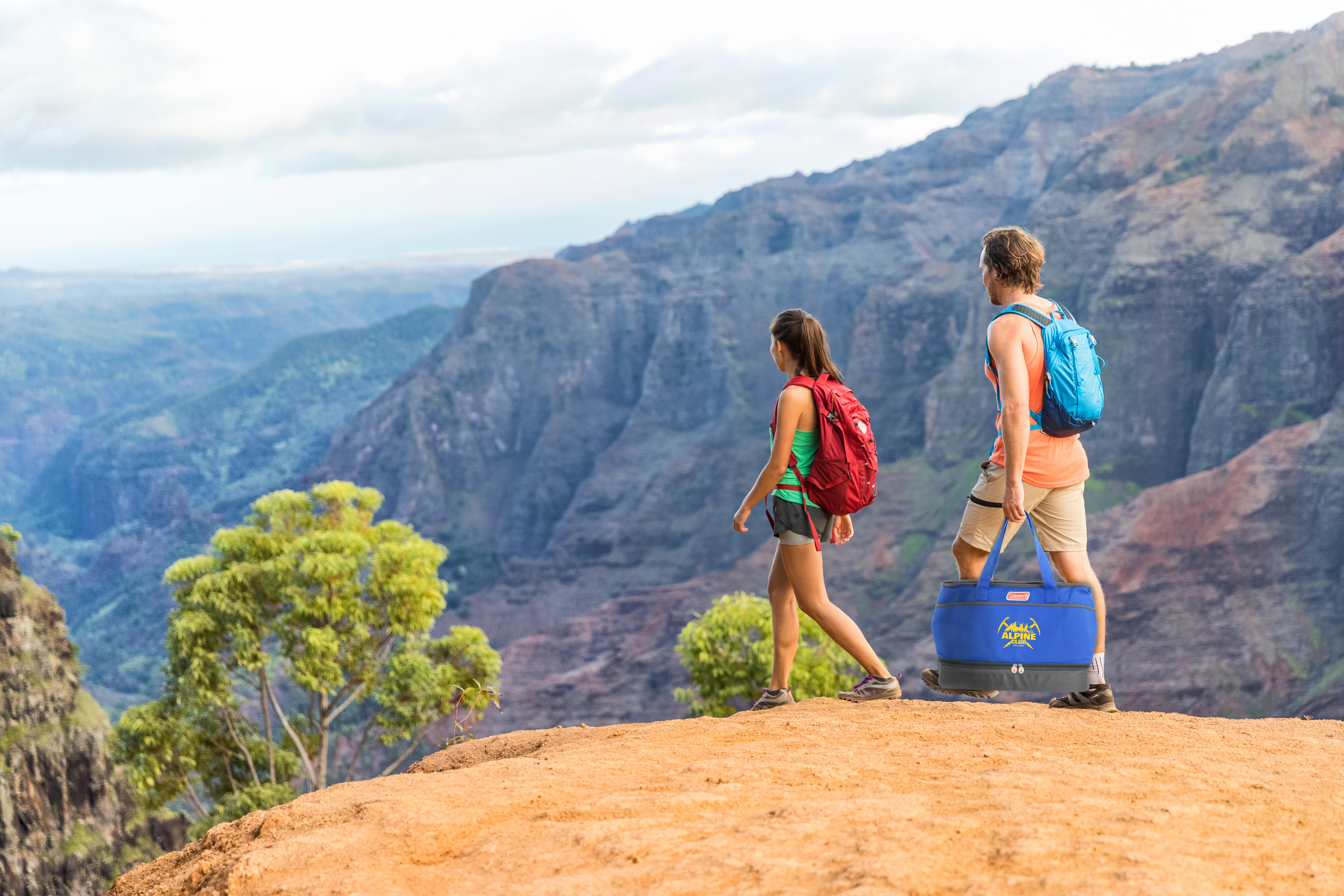 Dual Compartment Cooler