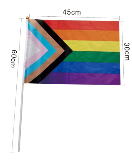 Gay Pride Rainbow Flags 3