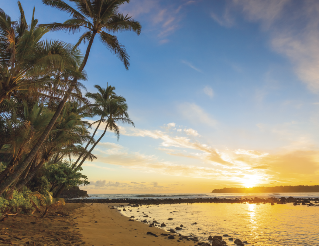 HotLine® Products Contemplations Appointment Calendar - Spiral 27