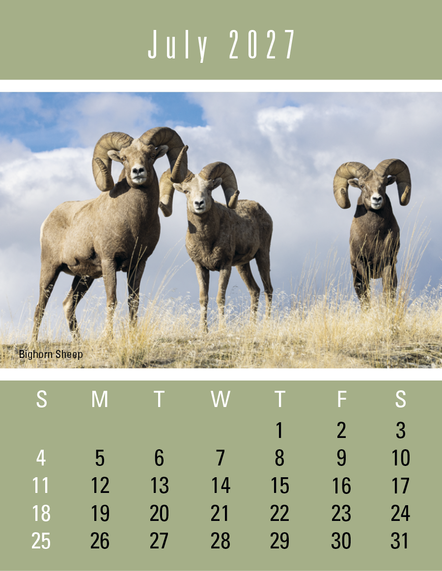 Triumph® Calendars Press-N-Stick Sportsmen Calendar 716