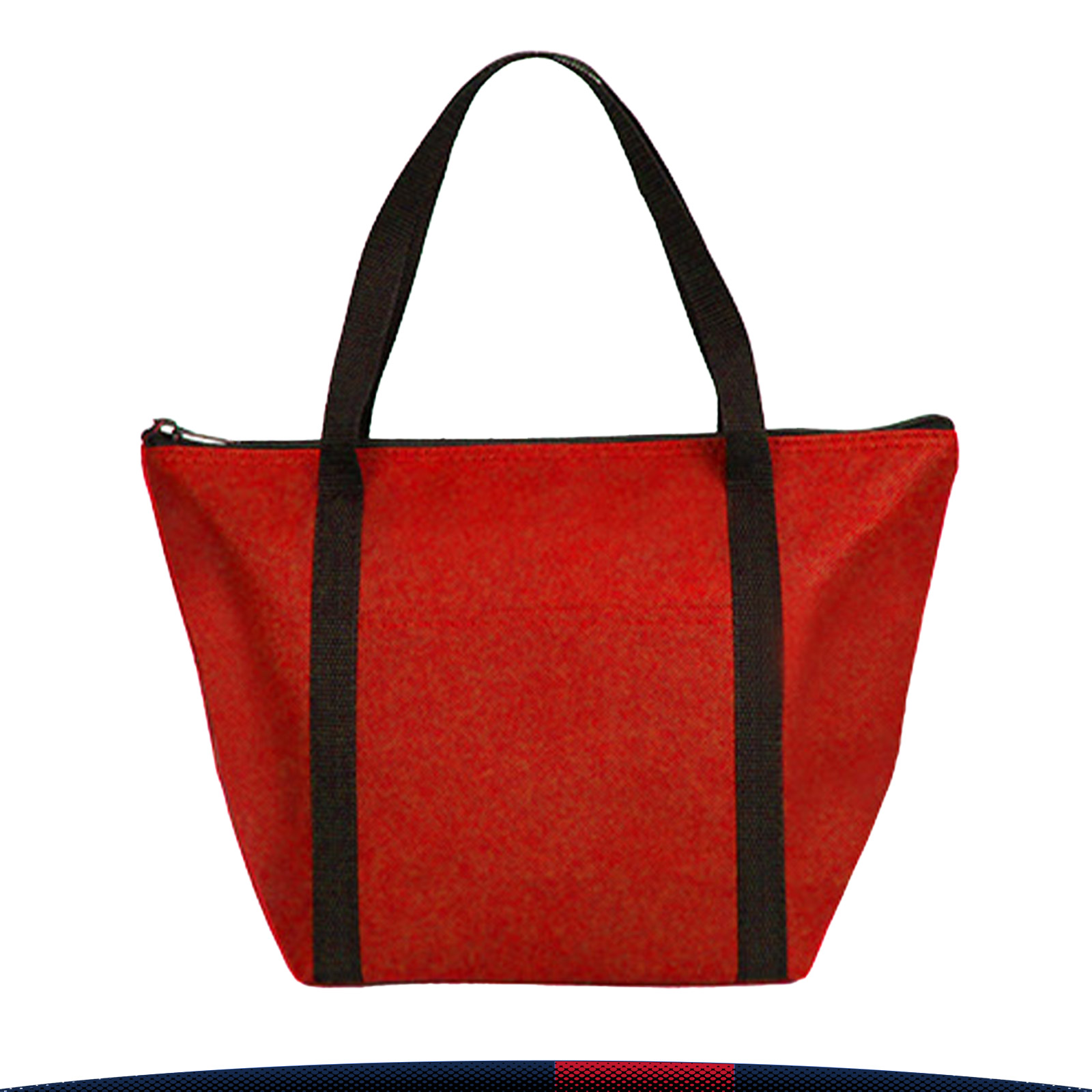 Solariq Insulated Cooler Tote 4