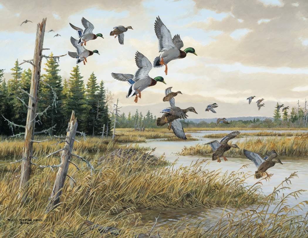 HotLine® Products Wildlife Collection Appointment Calendar - Stapled 31