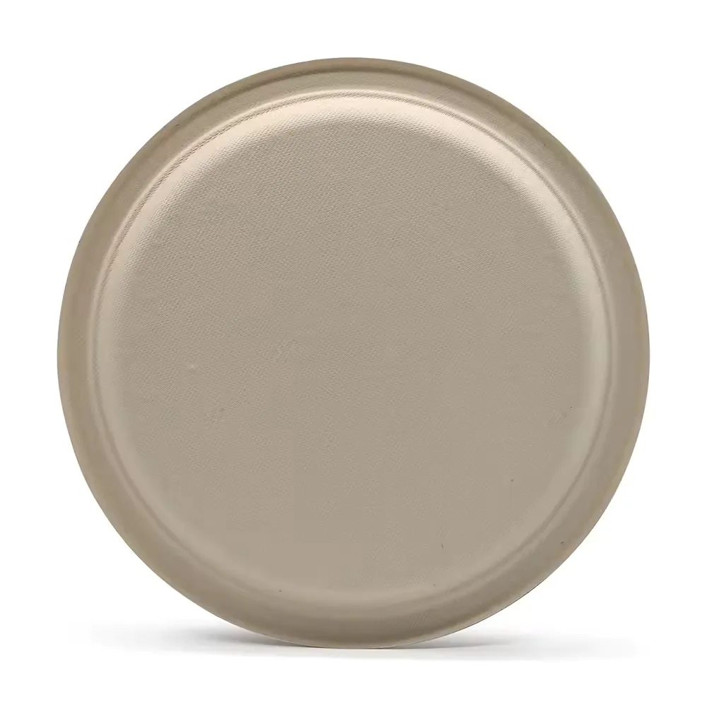 9" Eco-Friendly Paper Plate 5