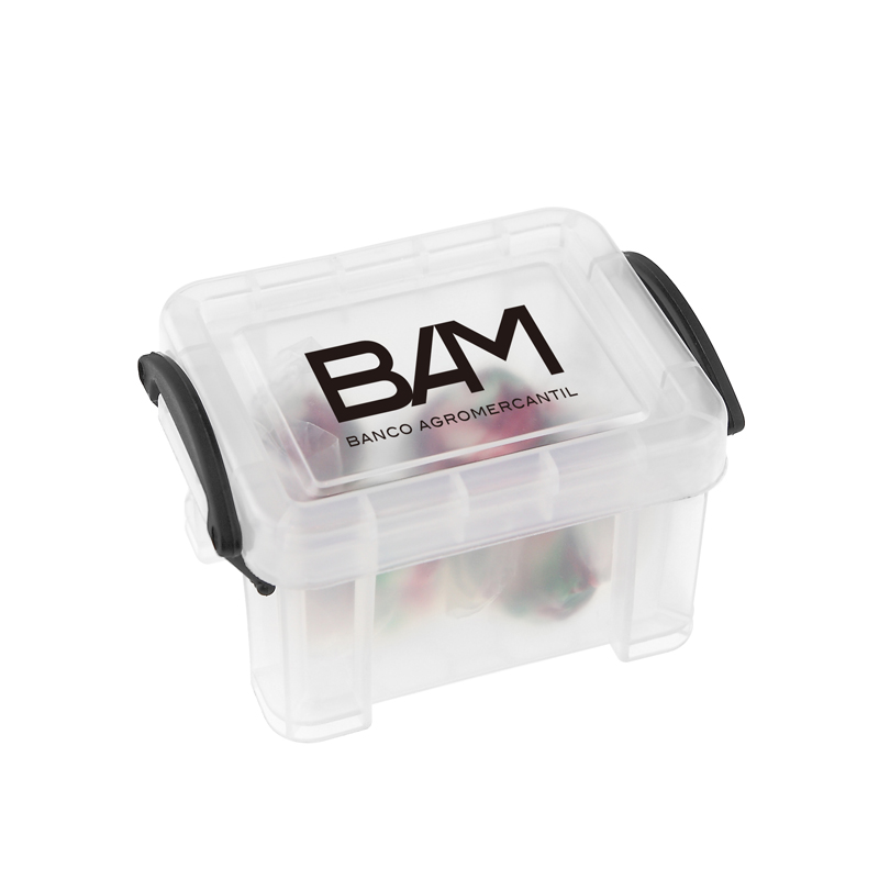 iPosh Mini Storage Case 3