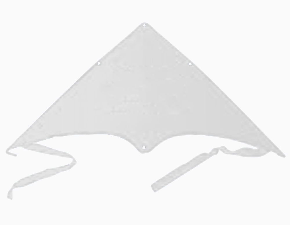 Delta Jumbo Kite 8