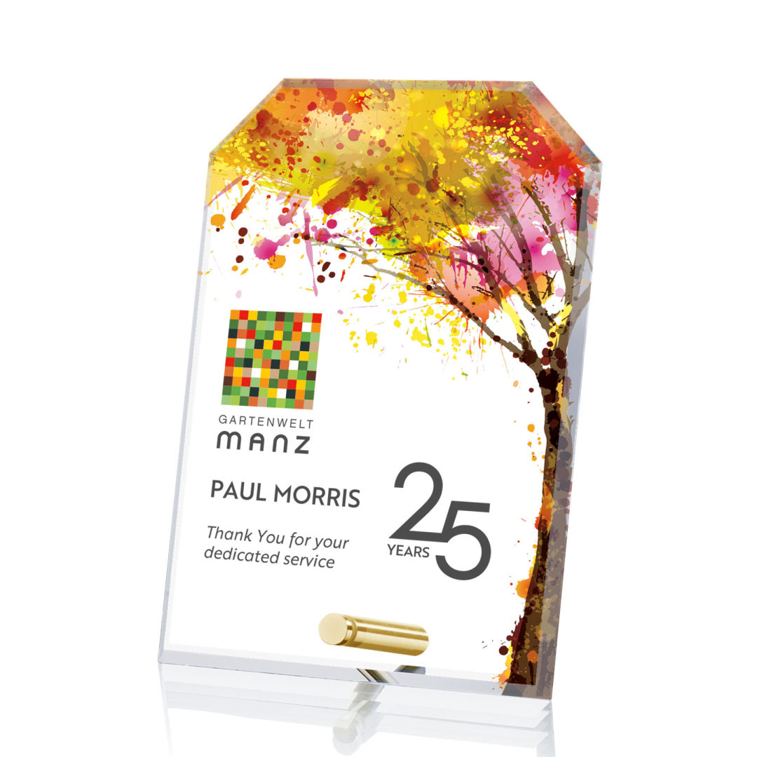 Cantebury Clipped Rectangle  VividPrint™Award 9