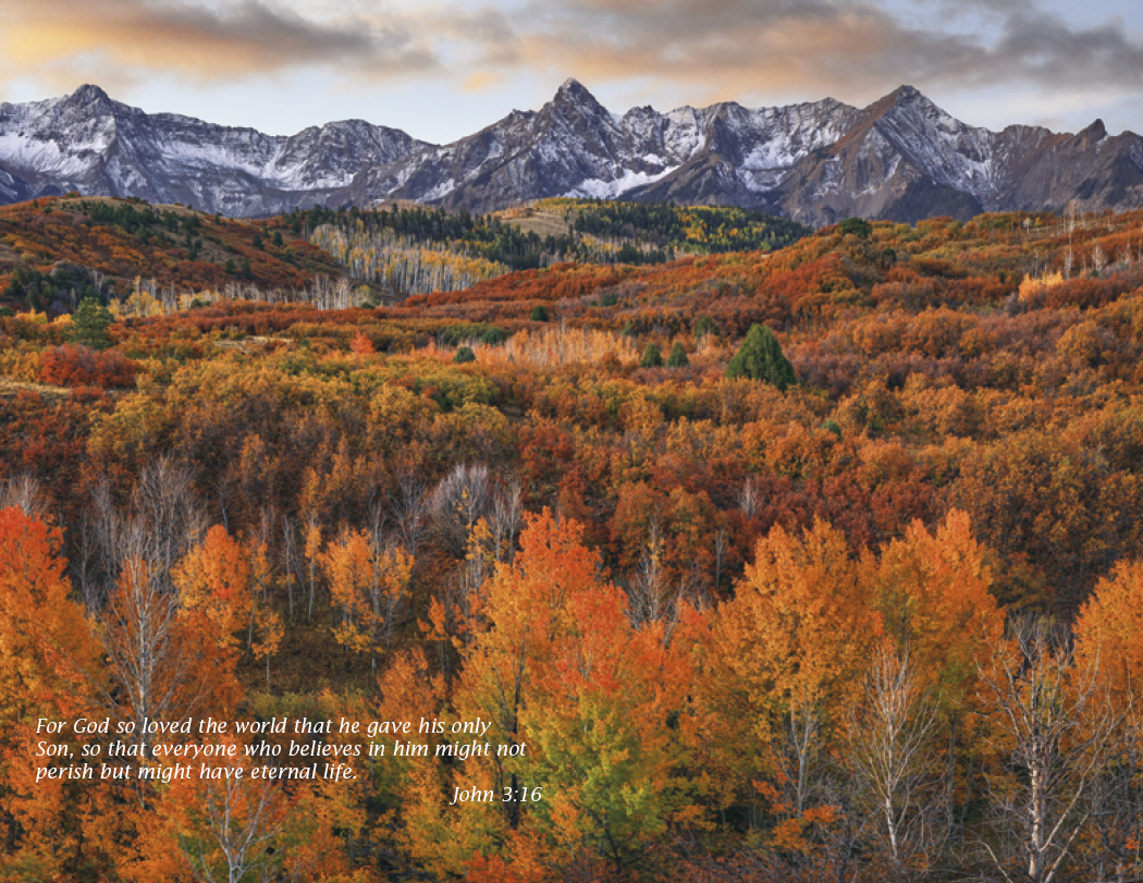 Triumph® Calendars Catholic Scenic Calendar 21