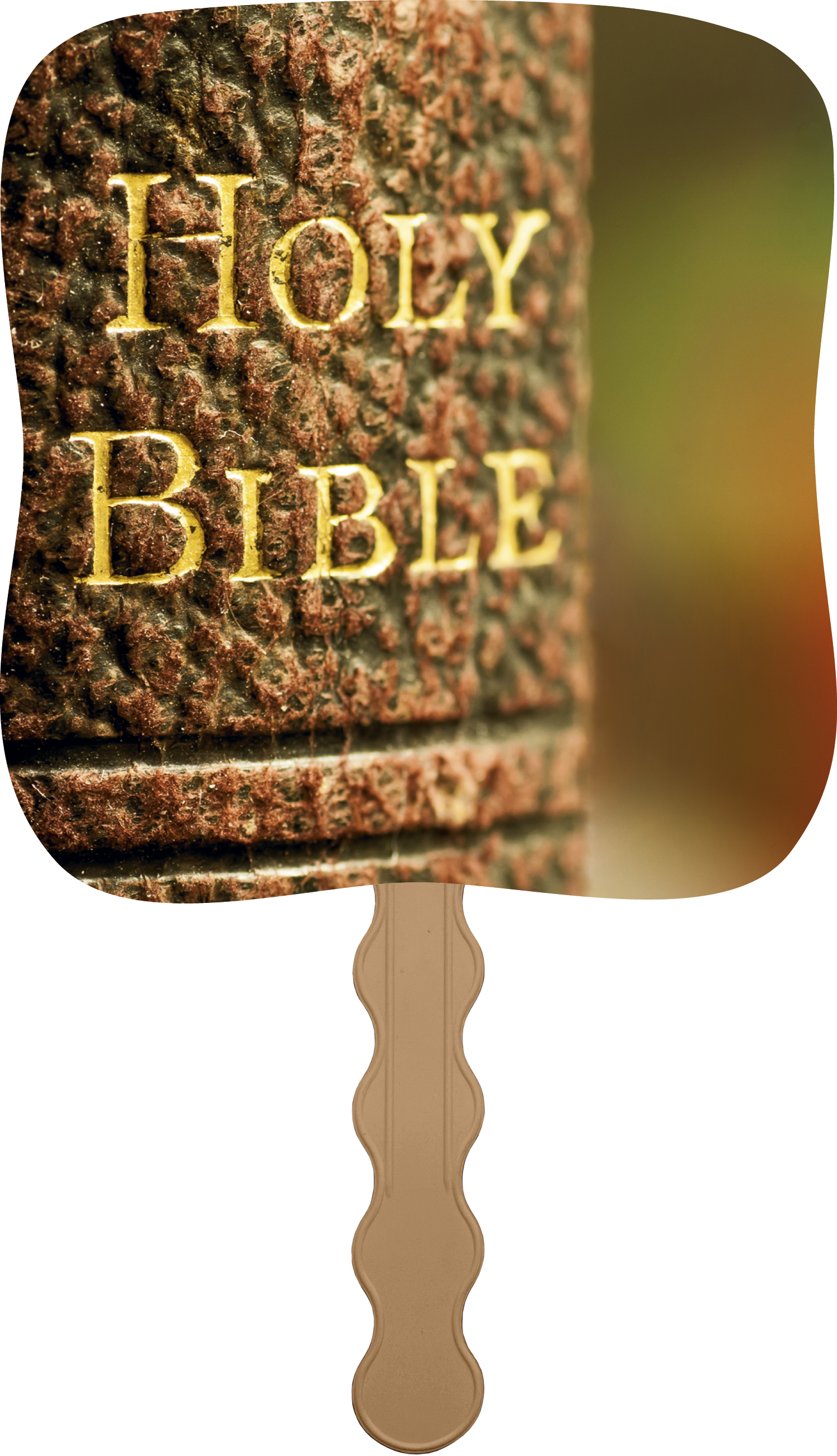 Skinner & Kennedy® Holy Bible - Pictorial Fan 13