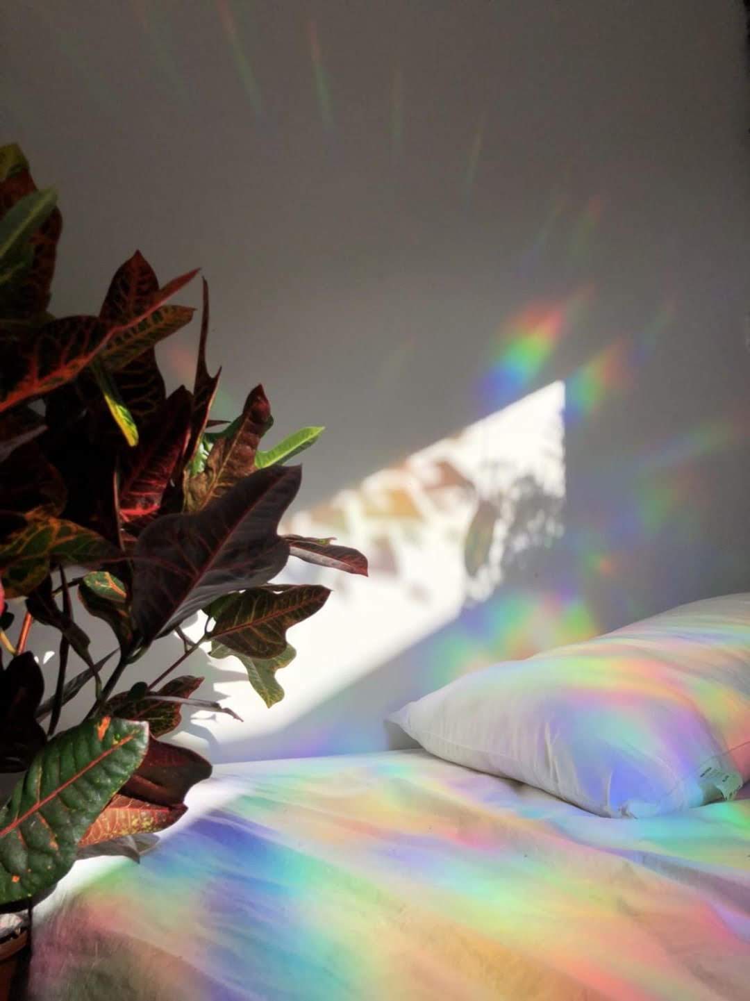 Window Decals - Custom Printed - Suncatcher Rainbow Window Stickers 13