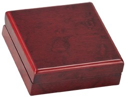 Rosewood Medal Box with an engraved plate 1