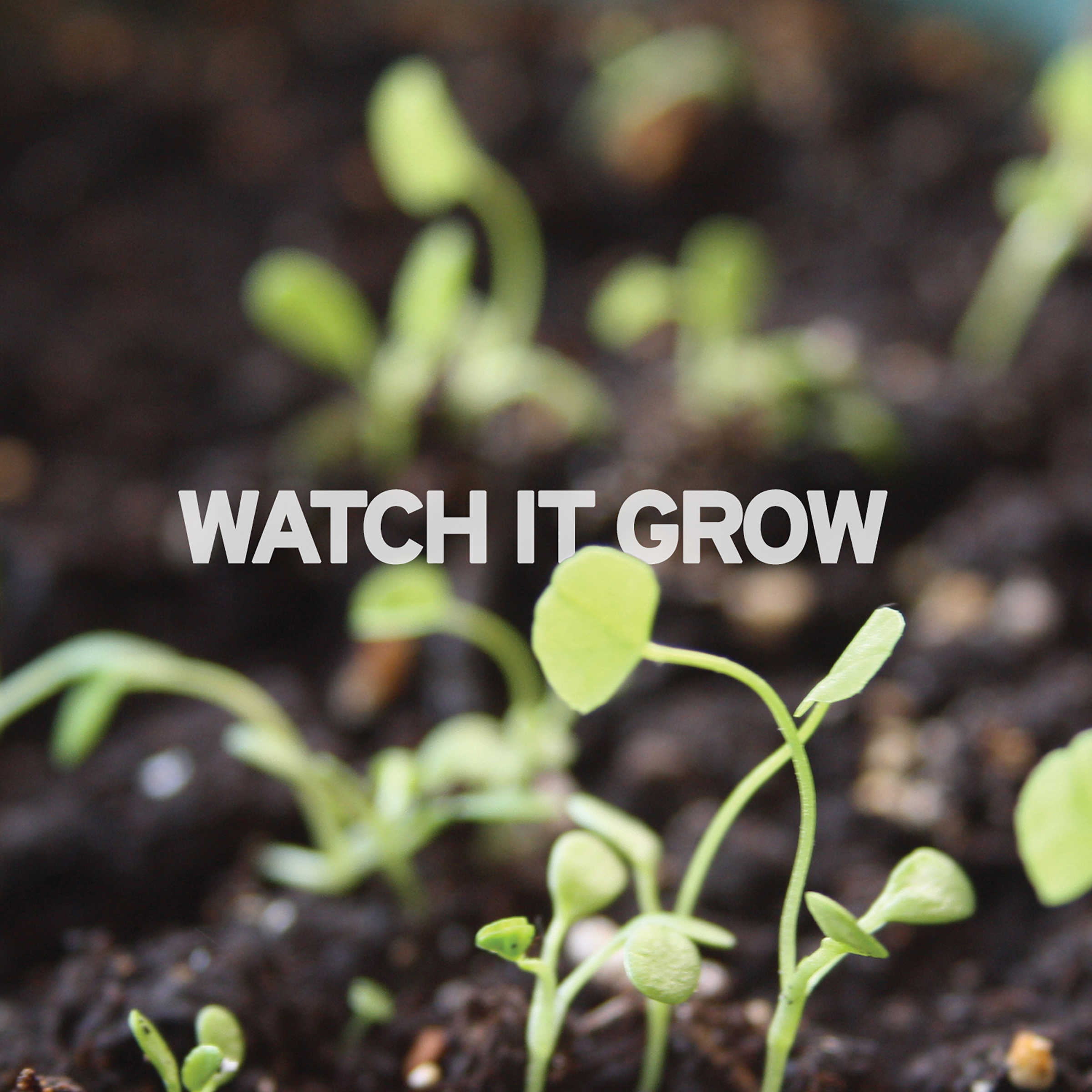 Geometric Personalized Plantable Journal: Standard 1