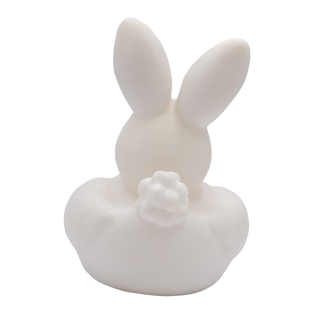 Mini Bunny Duck 7
