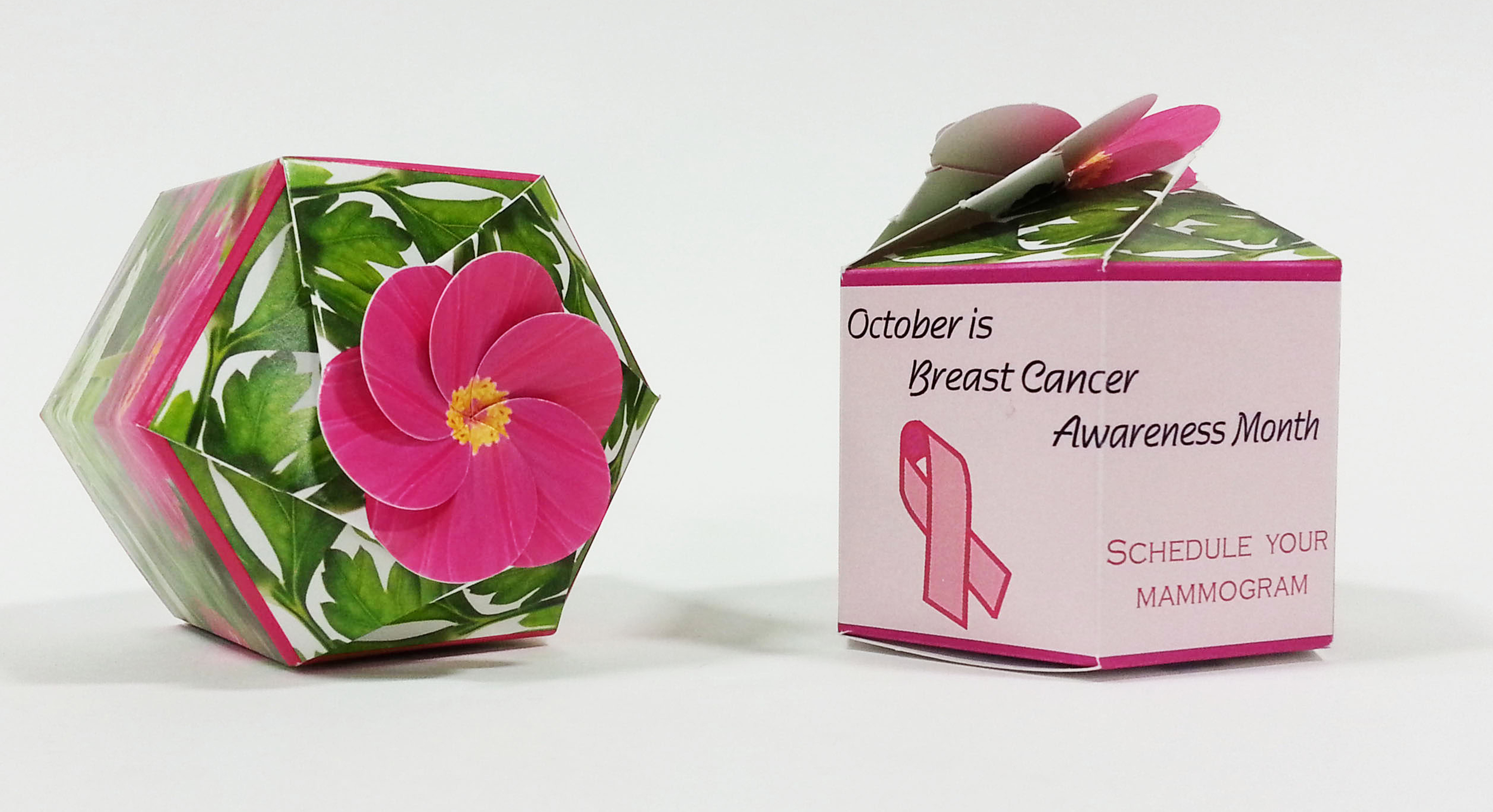 Zinnia 'Illumination' SeedGems Paper Planter - Biodegradable grow kit 3