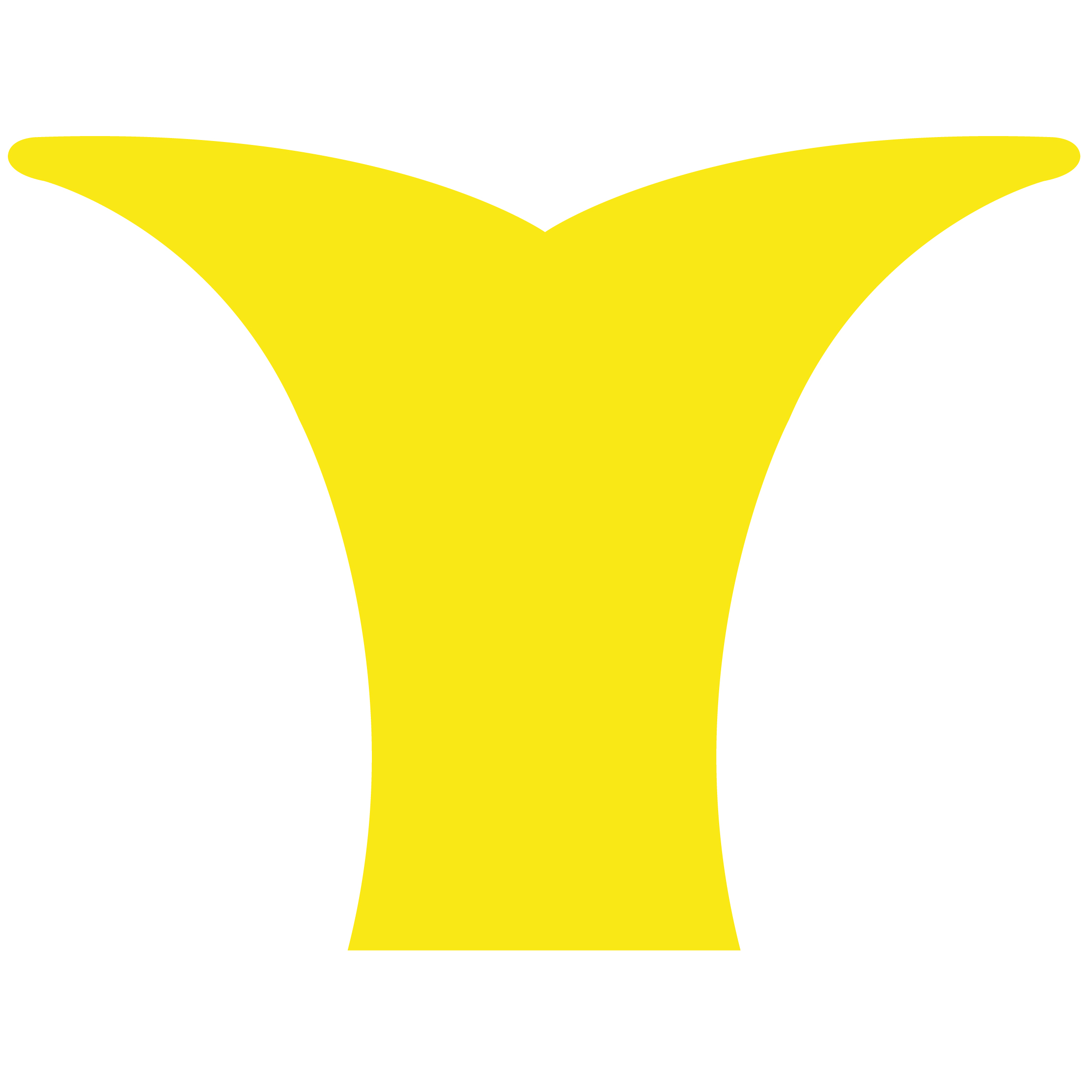 Whale Tail 31