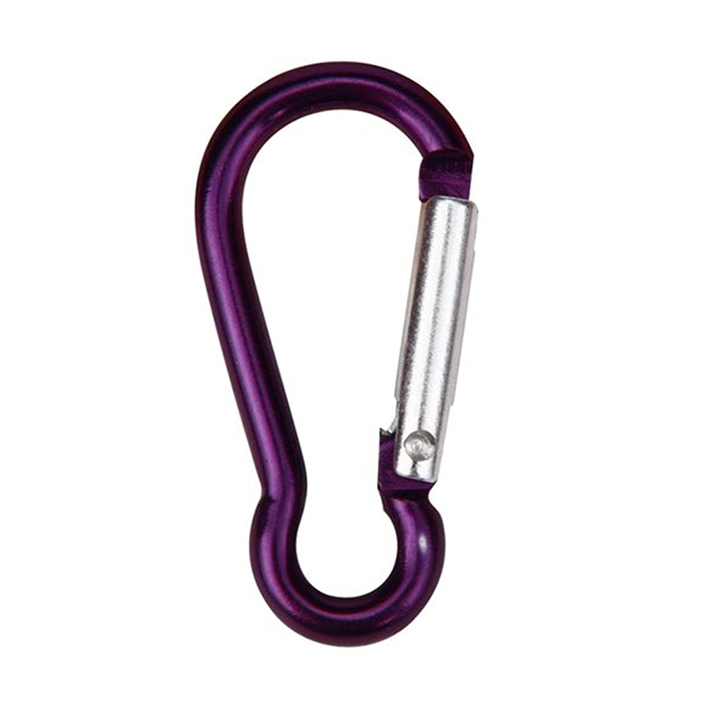 Refined Carabiner Clip Keychain 13