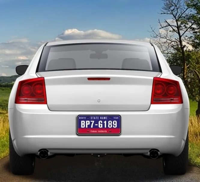 Custom License Plates (12" x 6") 5